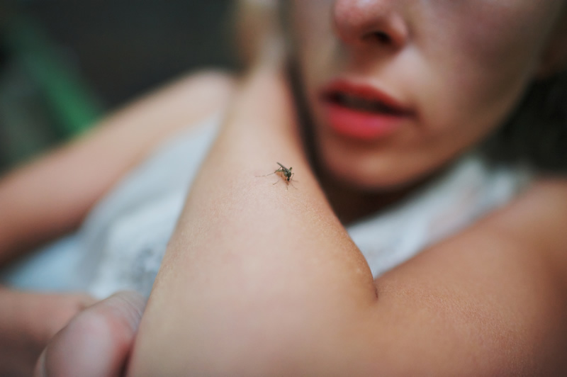 Mosquito bites doctors in larnaca Mosquito bites doctors in larnaca
